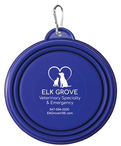 Collapsible Pet Bowl  image thumbnail