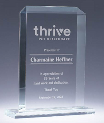 Image of Crystal Rectangle Award 