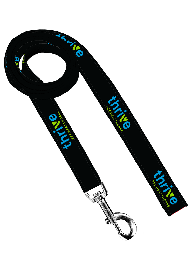 Dog Leash (Black) primary image