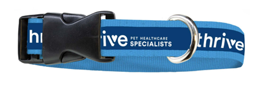 Dog Collar  image thumbnail