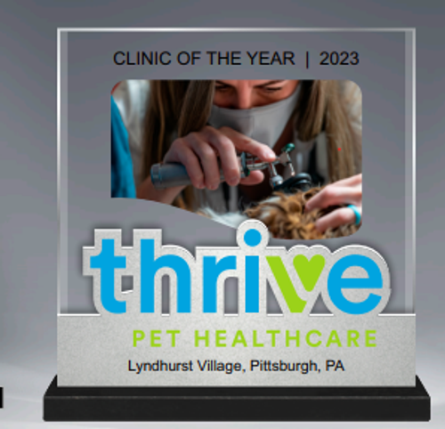Full Color Award image thumbnail