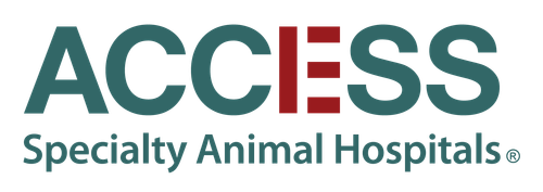 Access Specialty Animal Hospital image thumbnail