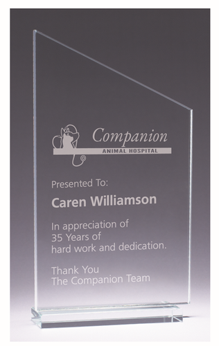Crystal Angle Award image thumbnail