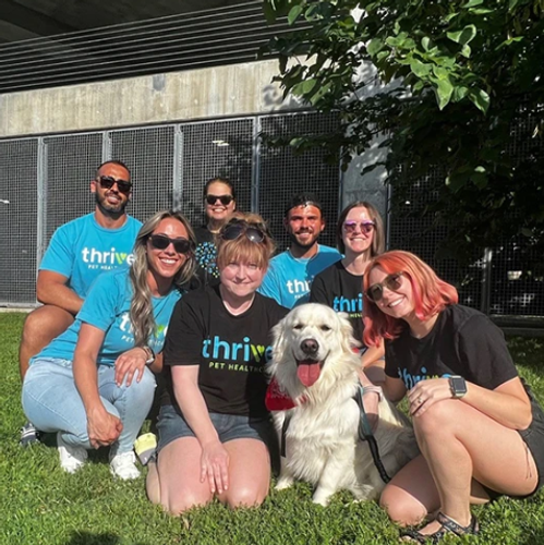Thrive Blue T-Shirt  image thumbnail