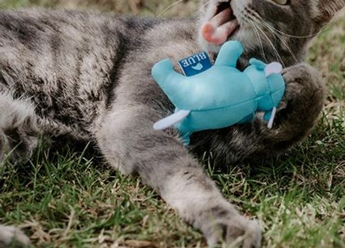 Cat Nip Toy  image thumbnail