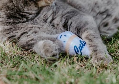 Cat Nip Toy  image thumbnail
