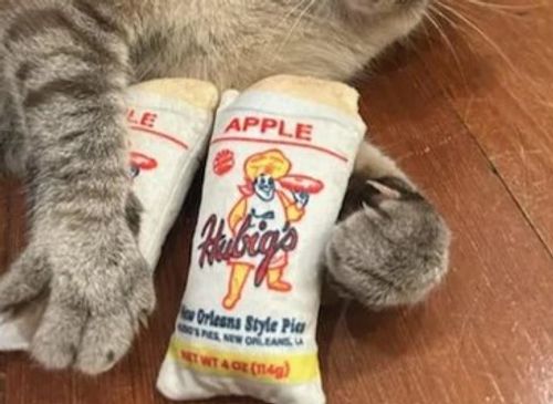 Cat Nip Toy  image thumbnail