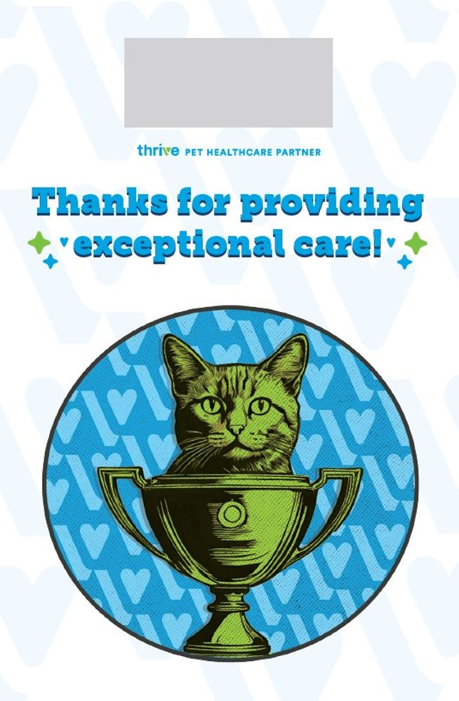 Service Cards (Legacy) Pack of 100 Cards & Envelopes primary image