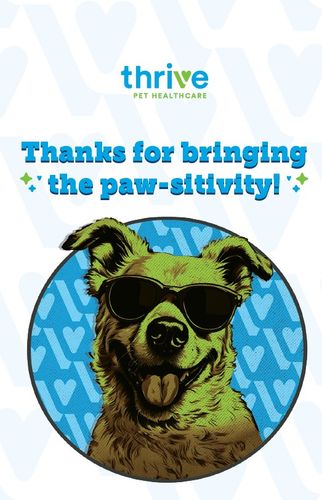 Joy Cards (Thrive) - Pack of 10 Cards & Envelopes image thumbnail