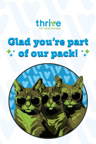 Team Cards (Thrive) - Pack of 10 Cards & Envelopes image thumbnail