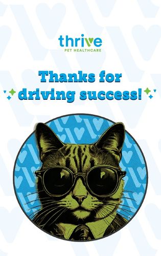 Accountability Cards (Thrive) - Pack of 10 Cards & Envelopes image thumbnail