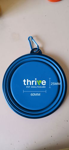 Collapsible Pet Bowl (2 Color Logo) image thumbnail