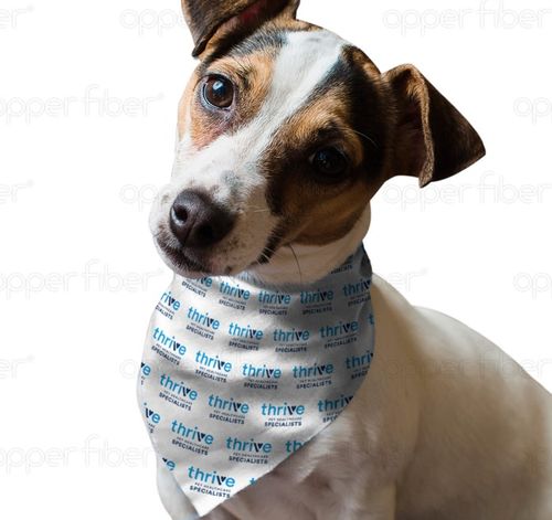 Small Dog Bandana  image thumbnail