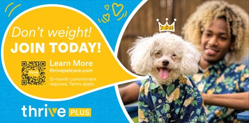 Thrive Plus Pet Scale Mat image thumbnail