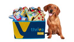 Image of Thrive Plus Pet Toy Basket