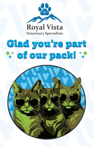 Team Cards (Legacy) Pack of 100 Cards & Envelopes image thumbnail