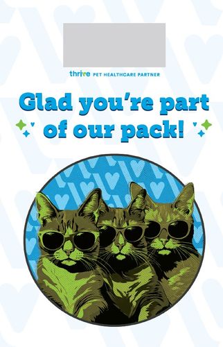 Team Cards (Legacy) Pack of 100 Cards & Envelopes image thumbnail