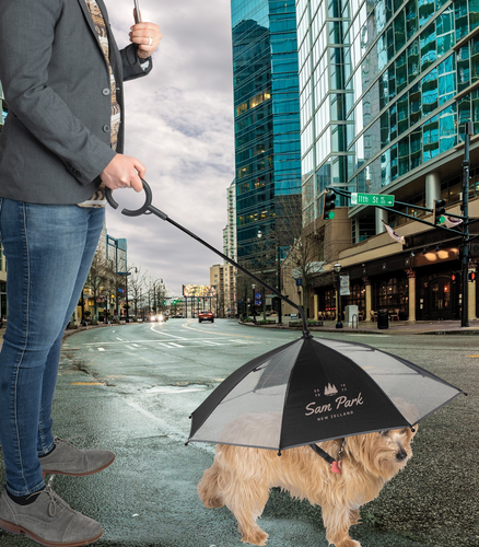 Dog Umbrella image thumbnail