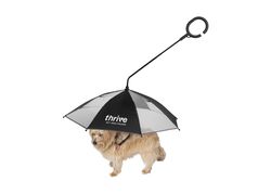 Image of Dog Umbrella