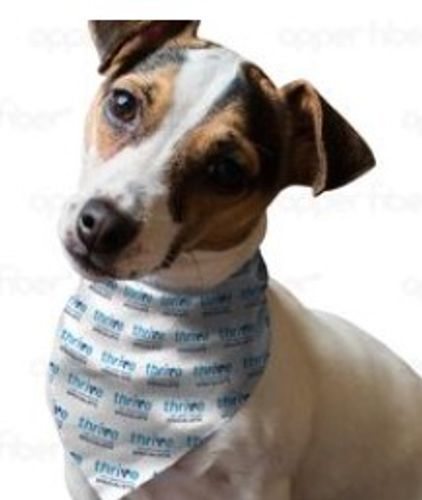 Bandana - Small image thumbnail