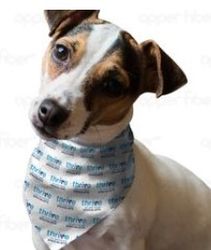 Image of Bandana - Small