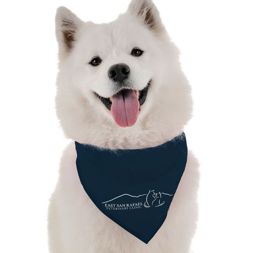 Bandana - Medium image thumbnail