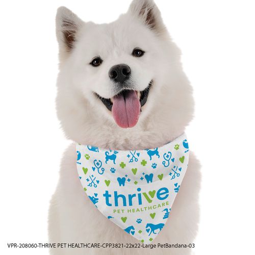 Bandana - Large image thumbnail