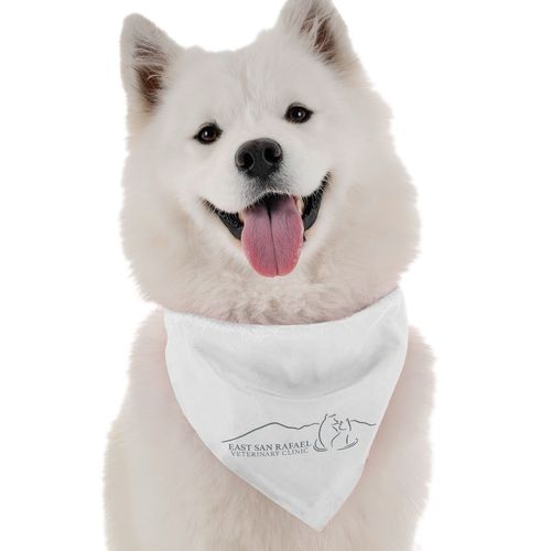 Bandana - Large image thumbnail