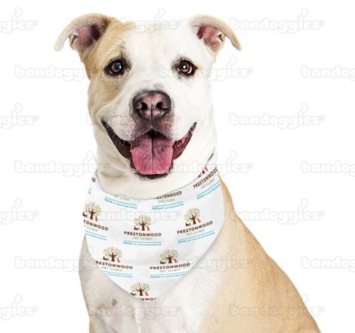 Bandana - Medium image thumbnail