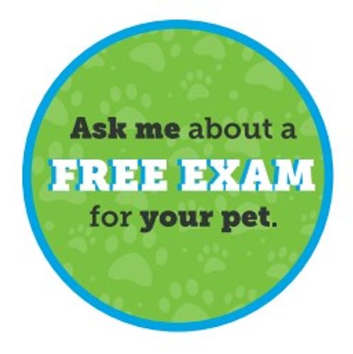 Ask Me Button image thumbnail