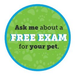 Image of Ask Me Button