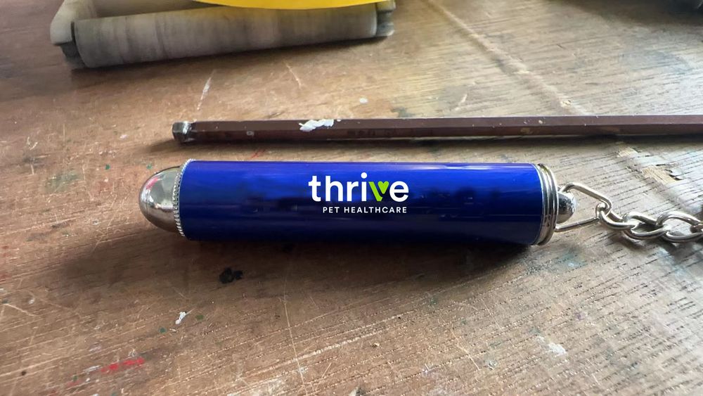 Cat Laser Toy- Thrive primary image