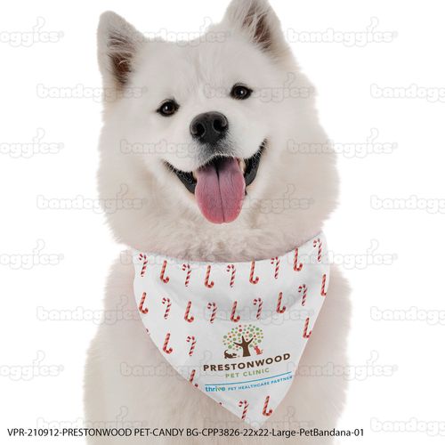 Bandana - Medium image thumbnail