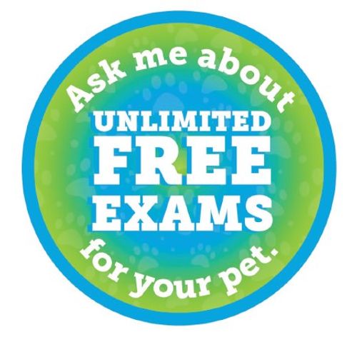 Ask Me Button image thumbnail