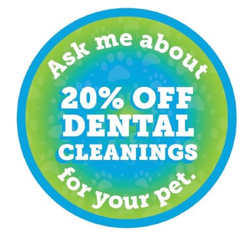 Ask Me Button image thumbnail