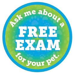 Image of Ask Me Button