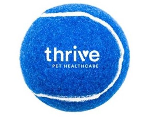Tennis Ball image thumbnail