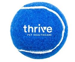 Image of Tennis Ball