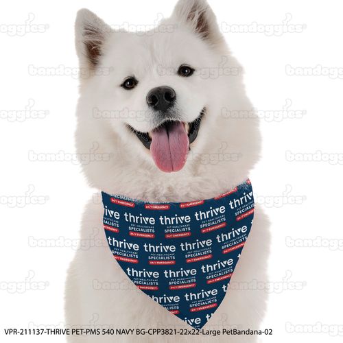 Bandana - Large image thumbnail