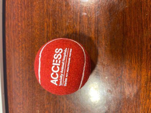 Tennis Ball - Red 24/7 image thumbnail