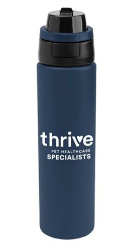 32 Oz. Pop Sip & Chug Stainless Steel Bottle image thumbnail