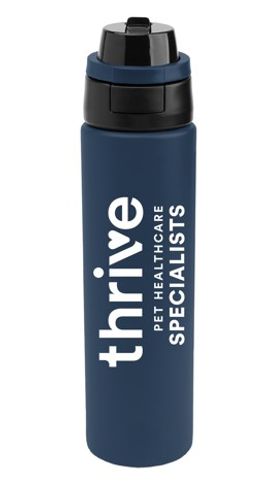 32 Oz. Pop Sip & Chug Stainless Steel Bottle image thumbnail