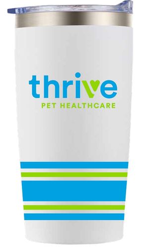 20 OZ Stainless Striped Tumbler image thumbnail