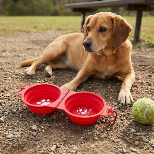 Dual Collapsible Pet Bowl image thumbnail