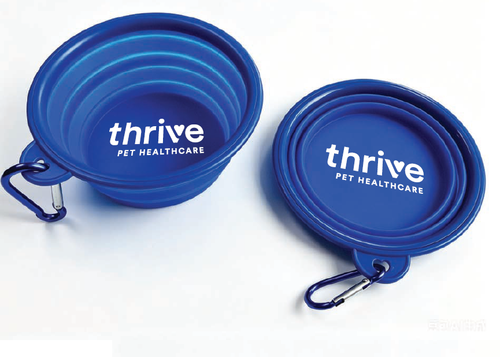 5" Collapsible Pet Bowl image thumbnail