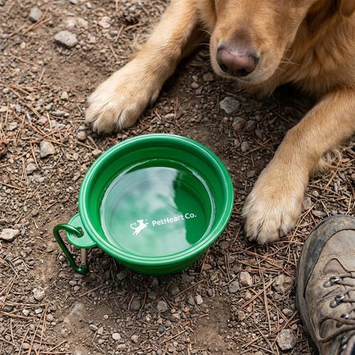 5" Collapsible Pet Bowl image thumbnail