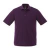 Dark Plum
