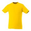 Yellow Heather