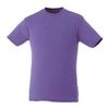 Purple Heather