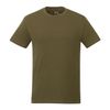 Olive Night Green